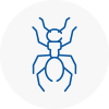 Ant Removals In Whitehaven