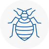 Bed Bug Extermination In Whitehaven