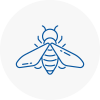 Bee Nest Removal Whitehaven
