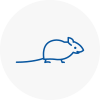 Mice Exterminators In Whitehaven