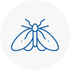 Moth Control Specialists In Whitehaven