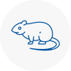 Rat Control Whitehaven