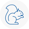 Whitehaven Rodent Removals